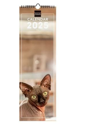 CALENDARIO FINOCAM PARED 15X48 2025 CATS