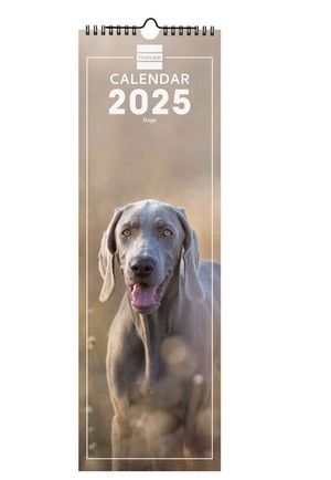 CALENDARIO FINOCAM PARED 15X48 2025 DOGS