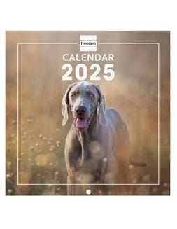 CALENDARIO FINOCAM PARED 18X18 2025 DOGS