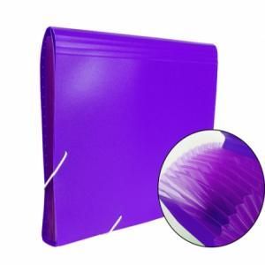 CARPETA ACORDEON PRYSE 13 SEPARADORES CA4152 VIOLETA