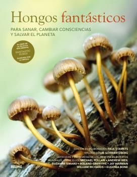 HONGOS FANTSTICOS
