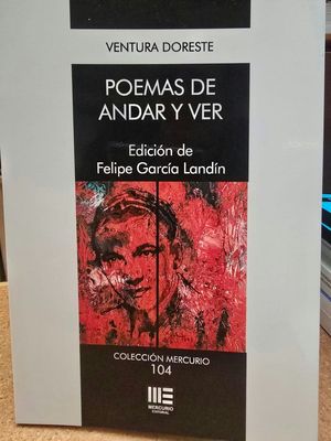 POEMAS DE ANDAR Y VER