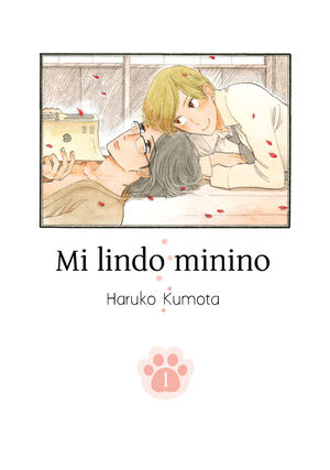 MI LINDO MININO VOL 1