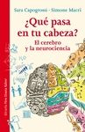 �QU� PASA EN TU CABEZA?