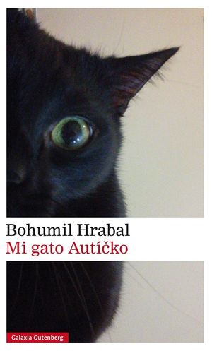 MI GATO AUTCKO