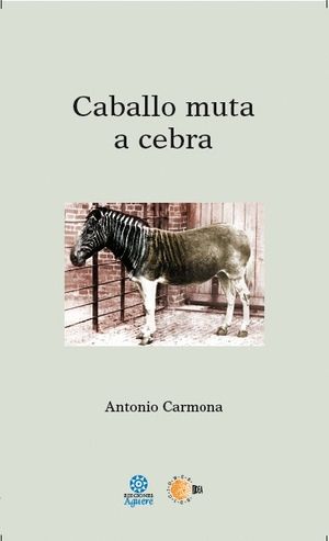 CABALLO MUTA A CEBRA, EL