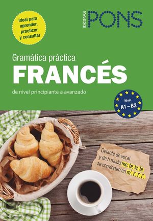 GRAMATICA PRACTICA FRANCES PONS