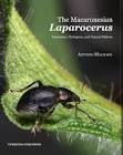 THE MACARONESIAN LAPAROCERUS.TAXONOMY, PHYLOGENY A