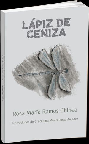 LAPIZ DE CENIZA