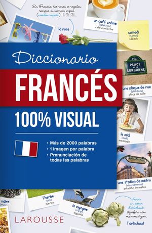 DICCIONARIO DE FRANC�S 100% VISUAL