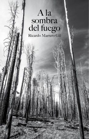 A LA SOMBRA DEL FUEGO