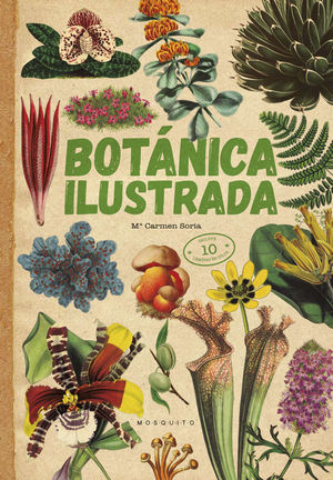 BOTNICA ILUSTRADA