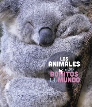 LOS ANIMALES MS BONITOS DEL MUNDO