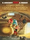 COMO OBELIX SE CAYO EN LA MARMITA DEL DRUIDA CUANDO ERA PEQUE�O