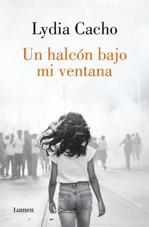 HALCON BAJO MI VENTANA, UN