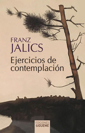 EJERCICIOS DE CONTEMPLACIN