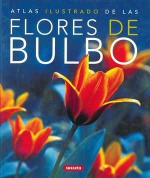 FLORES DE BULBO, ATLAS ILUSTRADO