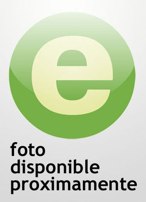 LA EXPERIENCIA SOM�TICA. FORMACI�N DE UN YO PERSONAL
