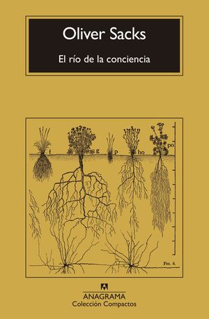 EL RO DE LA CONCIENCIA