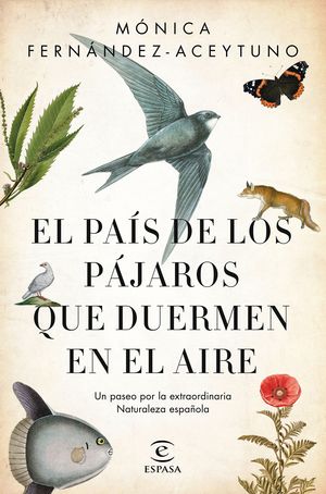 EL PAS DE LOS PJAROS QUE DUERMEN EN EL AIRE