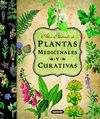 PLANTAS MEDICINALES Y CURATIVAS. ATLAS ILUSTRADO