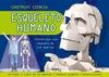 ESQUELETO HUMANO. MAQUETAS