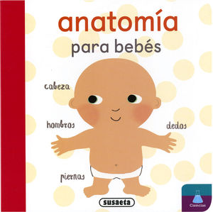 ANATOMIA PARA BEBS