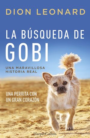 LA BSQUEDA DE GOBI