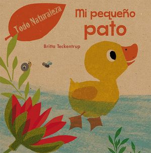 MI PEQUEO PATO