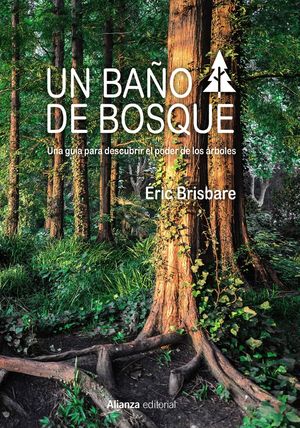 UN BAO DE BOSQUE