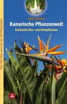 KANARISCHE PFLANZENWELT 2. EXOTISCHE