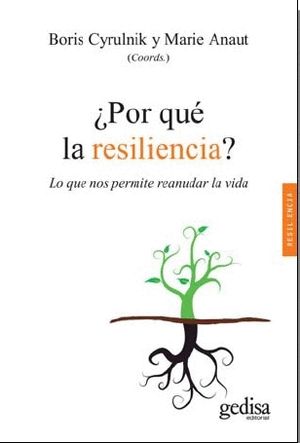 POR QU LA RESILIENCIA?