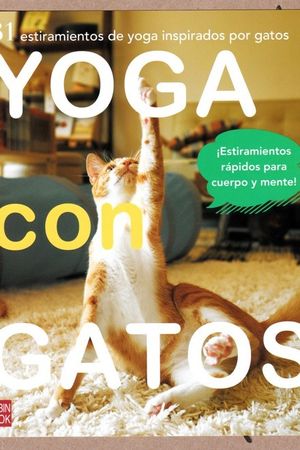 YOGA CON GATOS