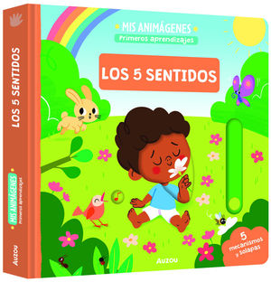LOS 5 SENTIDOS