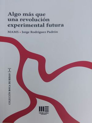 ALGO MS QUE UNA REVOLUCIN EXPERIMENTAL FUTURA