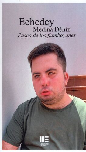 PASEO DE LOS FLAMBOYANES